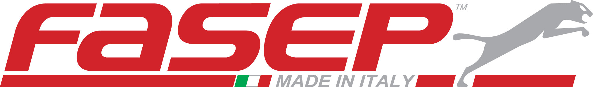 Connect: il portale che crea un filo diretto tra FASEP e i suoi distributori/clienti in tutto il mondo