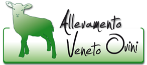 Allevamento Veneto Ovini: trasformazione in salumi della carne ovina 