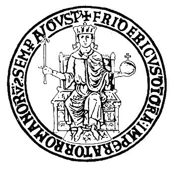 Dall’Università Federico II di Napoli un’innovativa copertura per il patrimonio artistico ed archeologico del nostro paese 