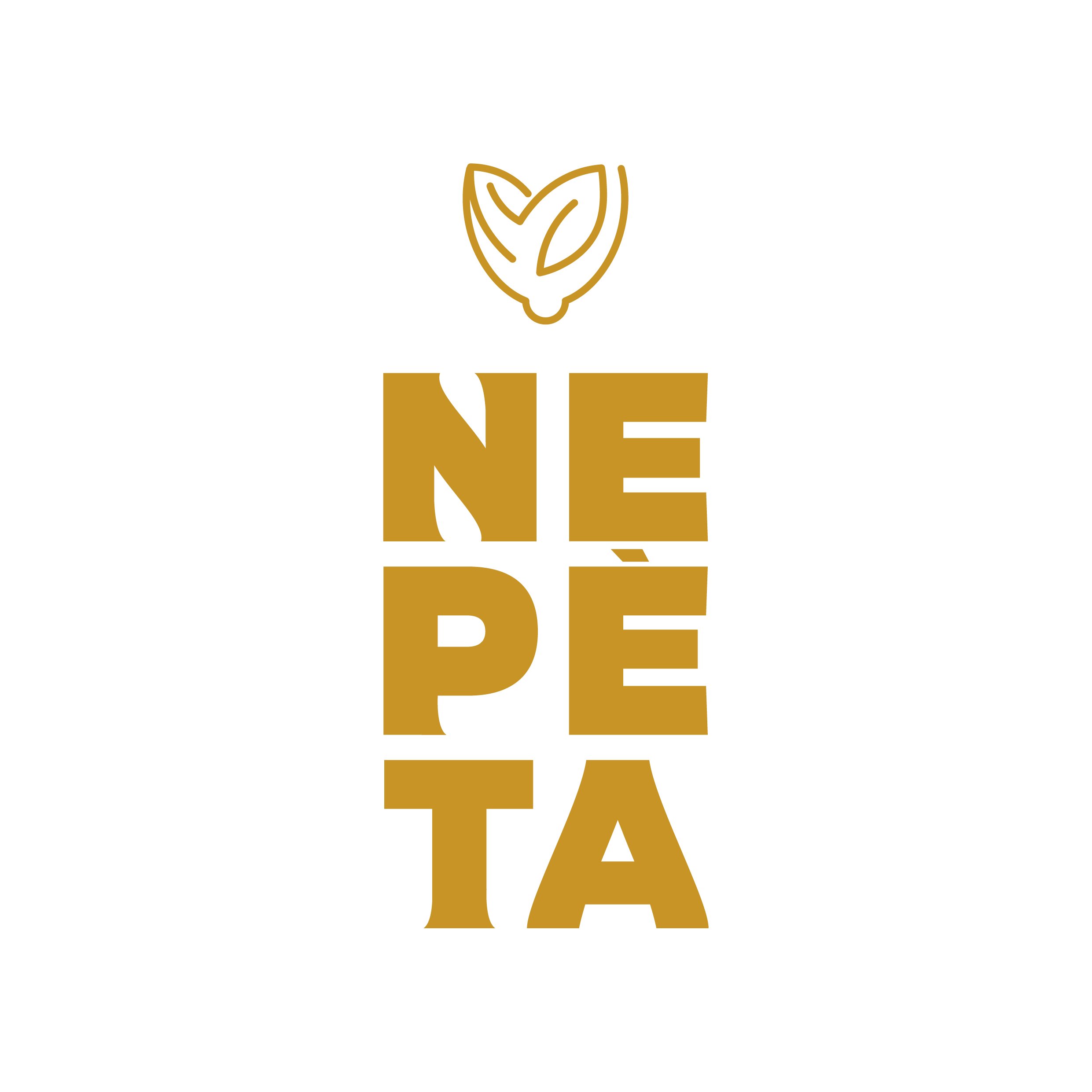 Nepeta, una start up innovativa per la valorizzazione dei prodotti territoriali 