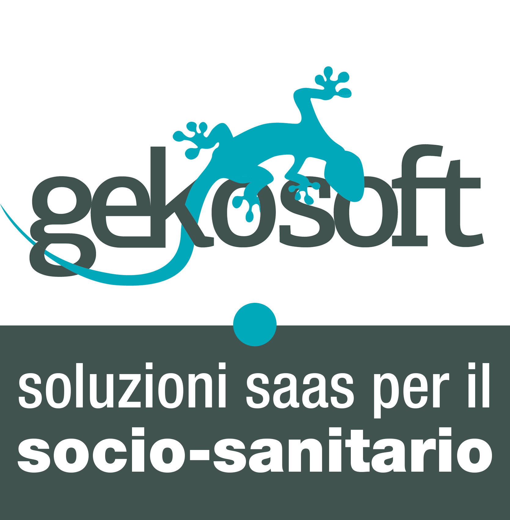 GEKOSOFT SRL