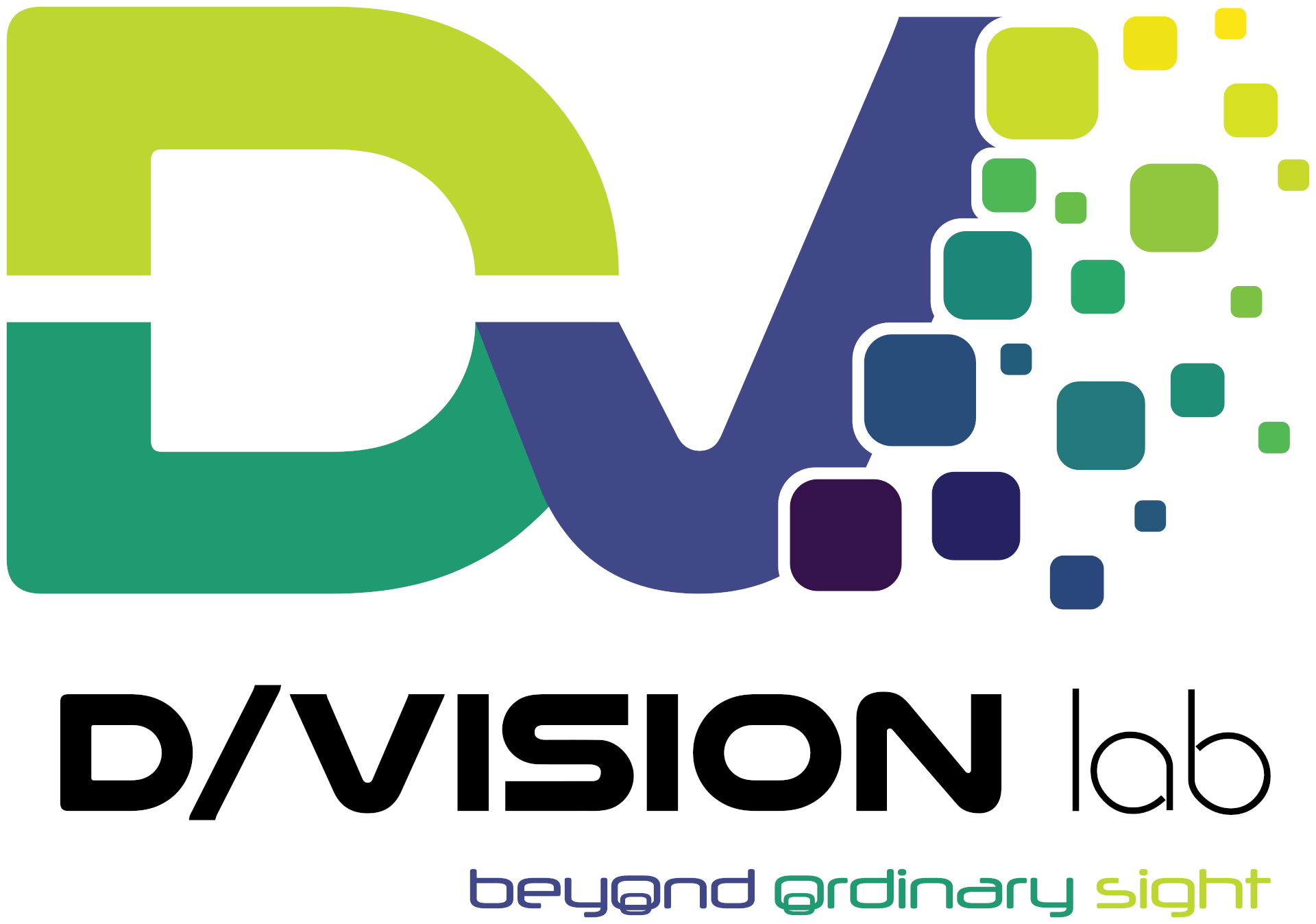 D/Vision Lab Srl