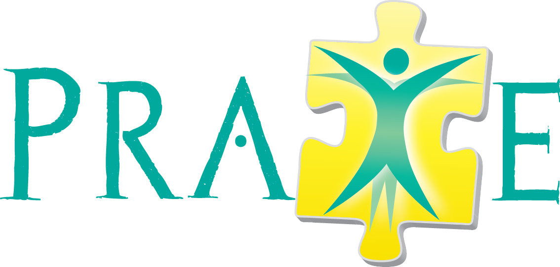 Praxe Srl
