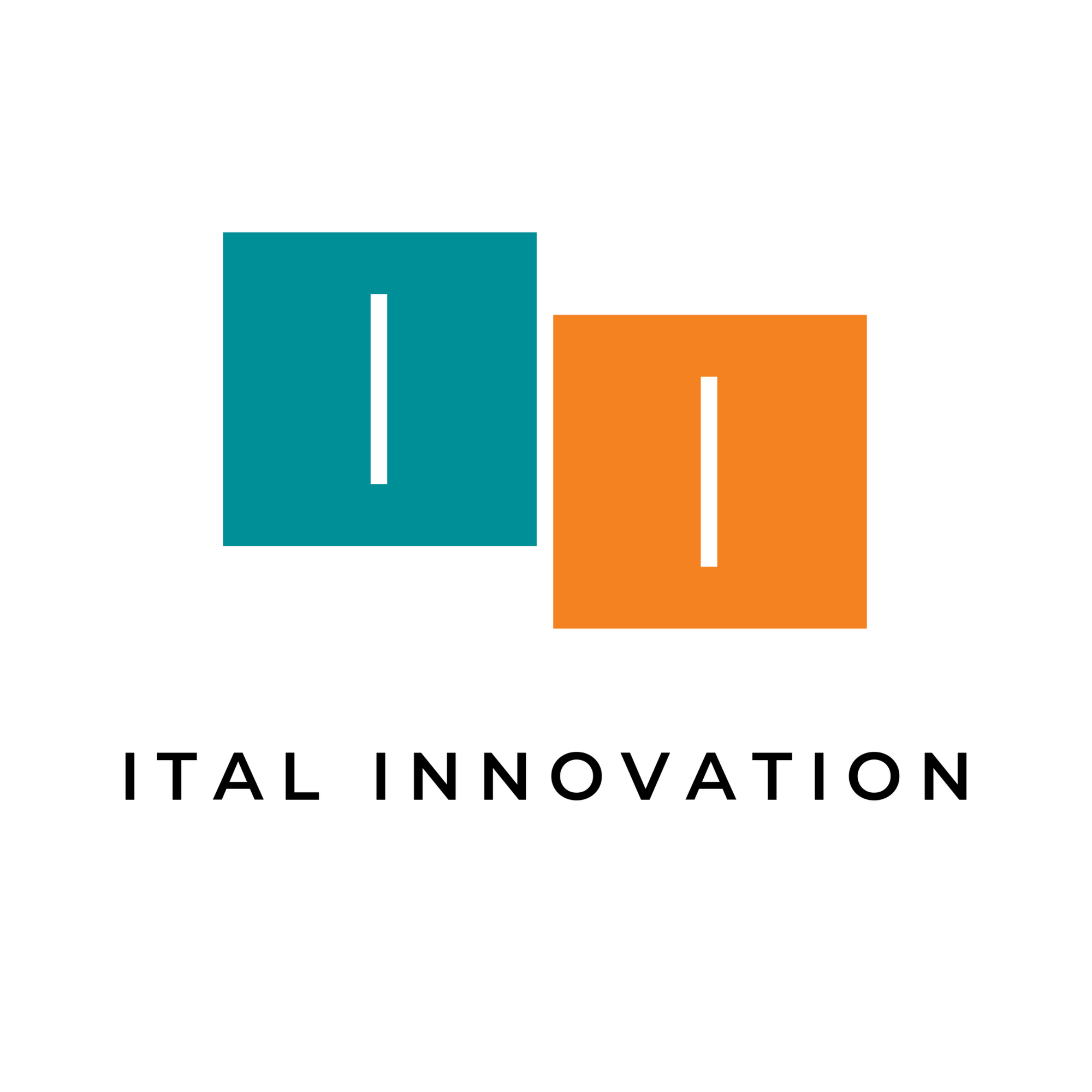 Ital Innovation Srl