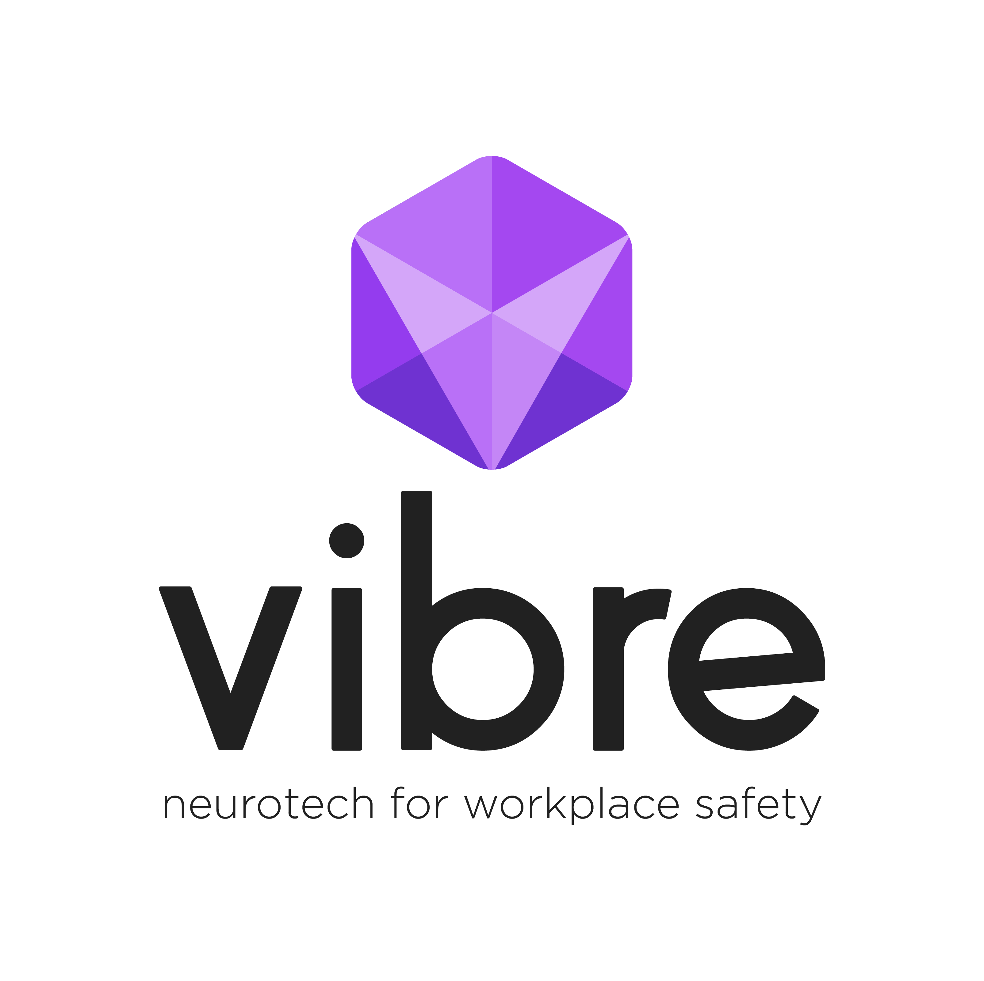 Vibre Srl