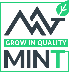 Mint srl