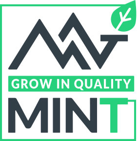 Mint srl