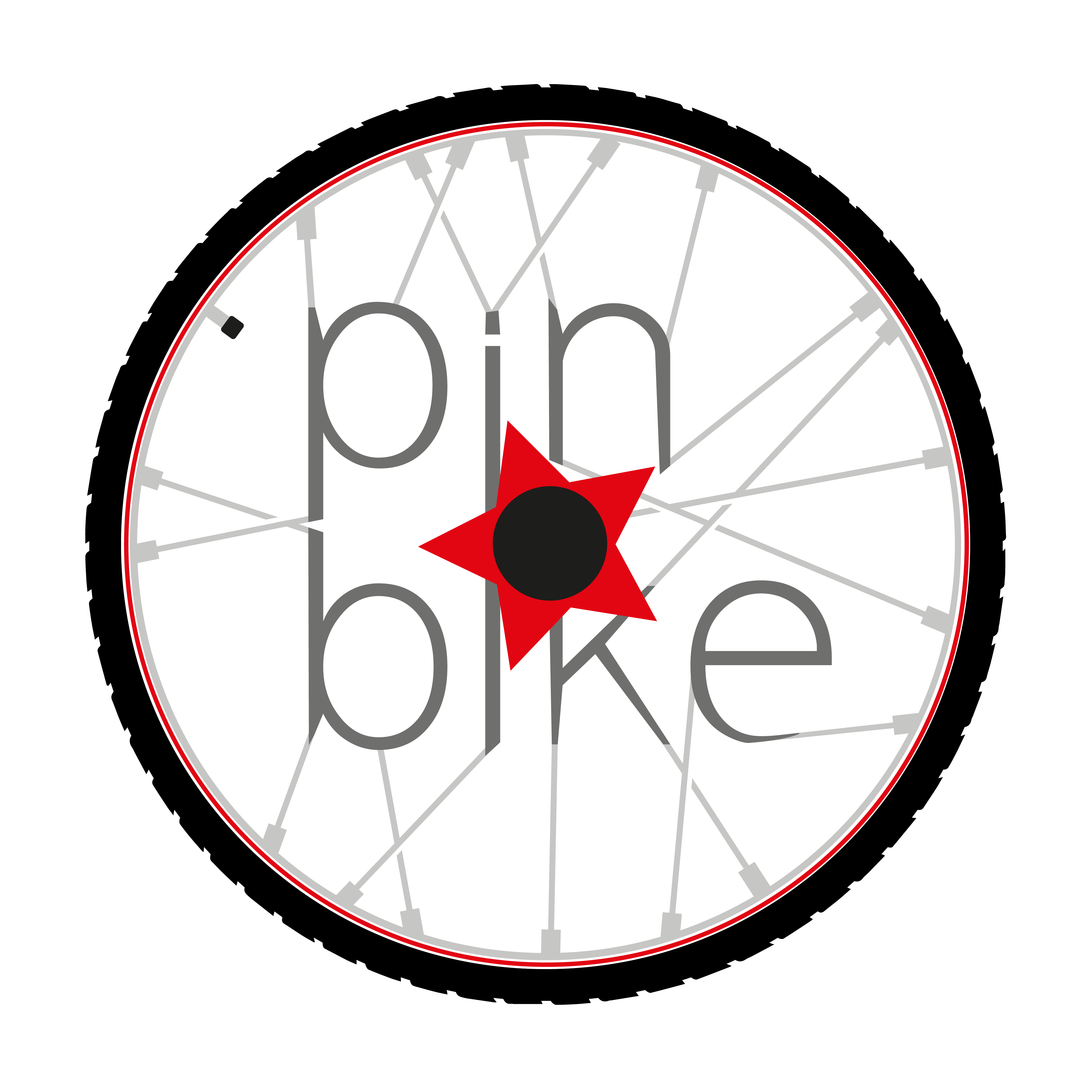 Pin Bike