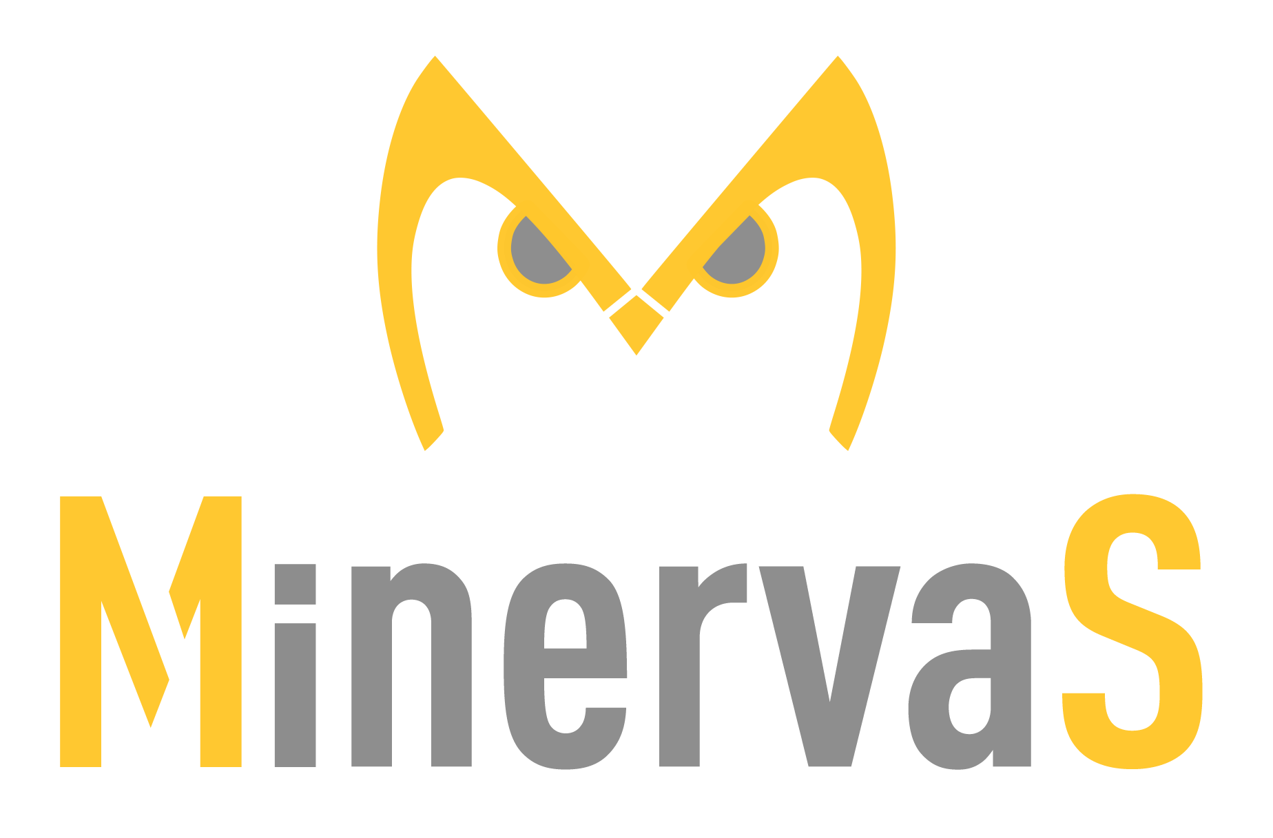 MinervaS 