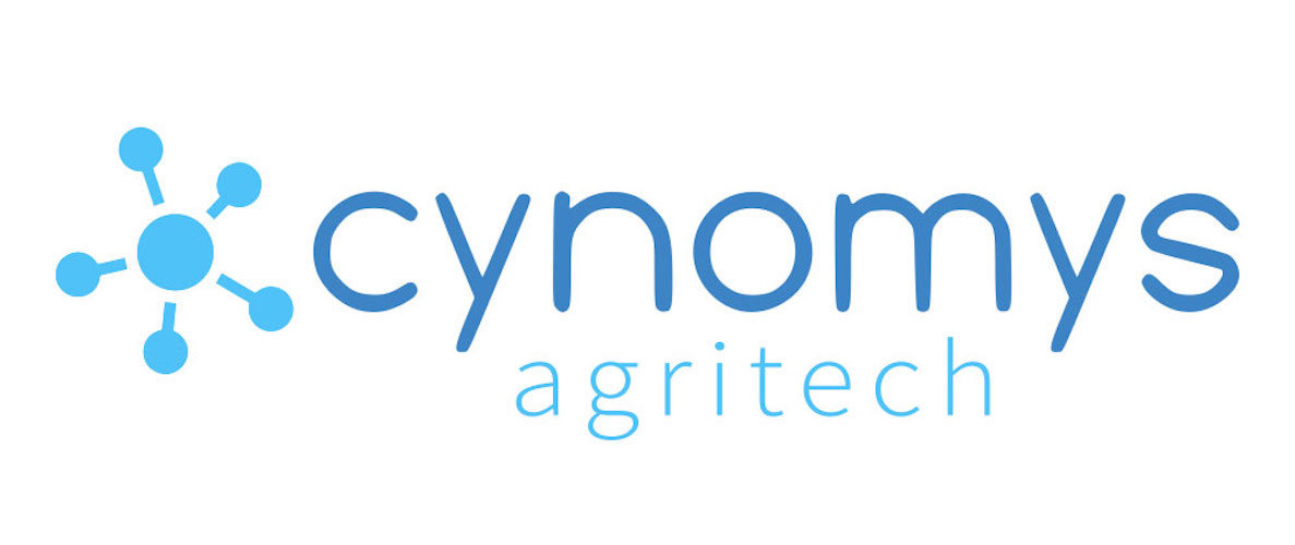 Cynomys