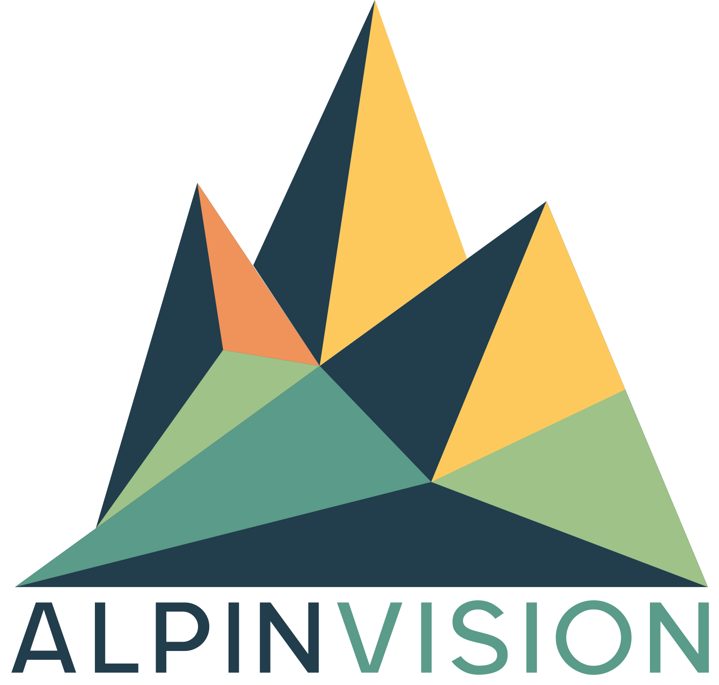 ALPINVISION