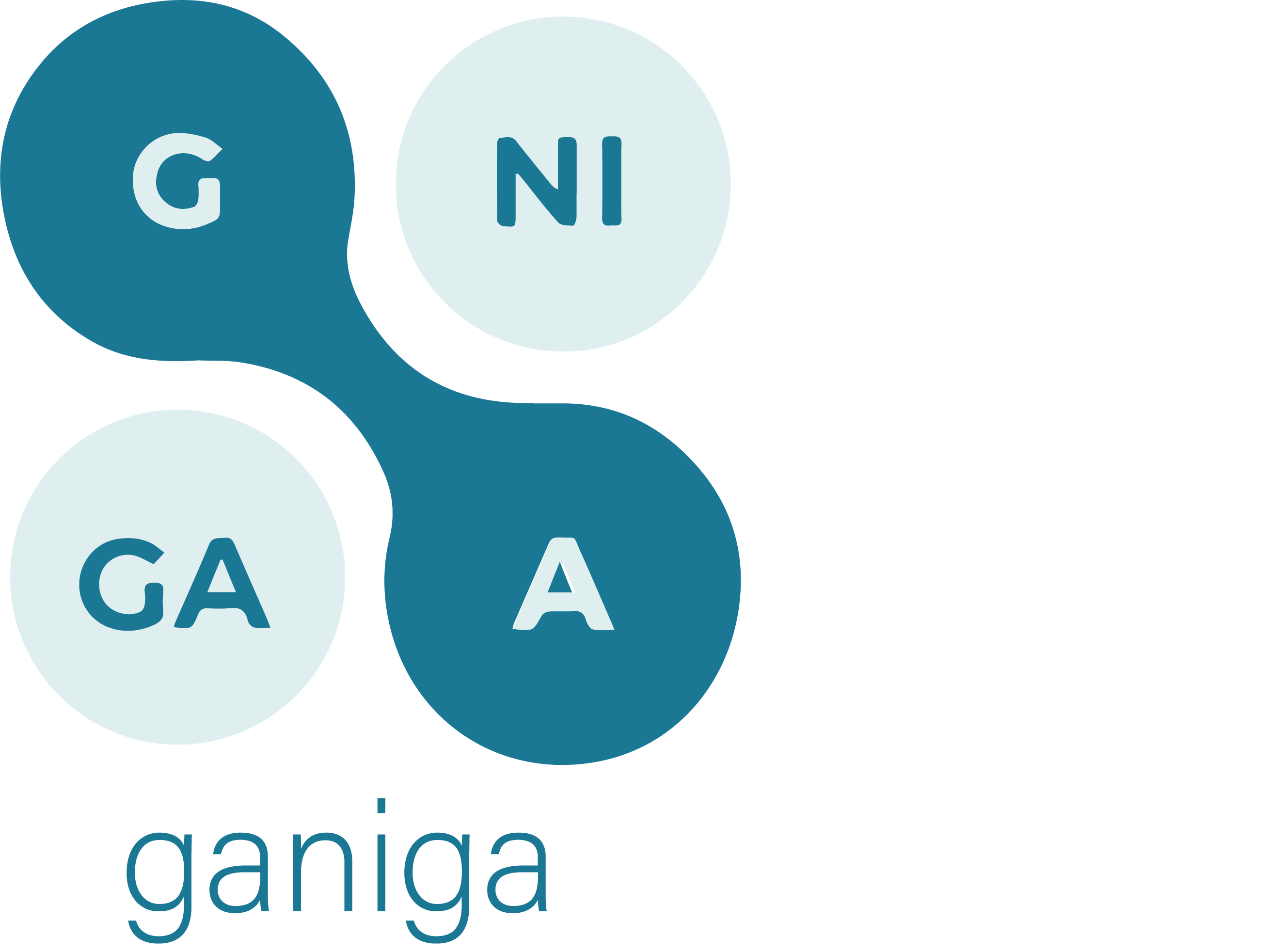 Ganiga Innovation Srl