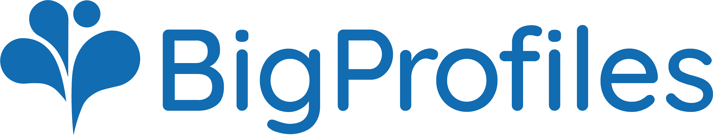 BigProfiles