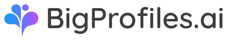 BigProfiles.ai
