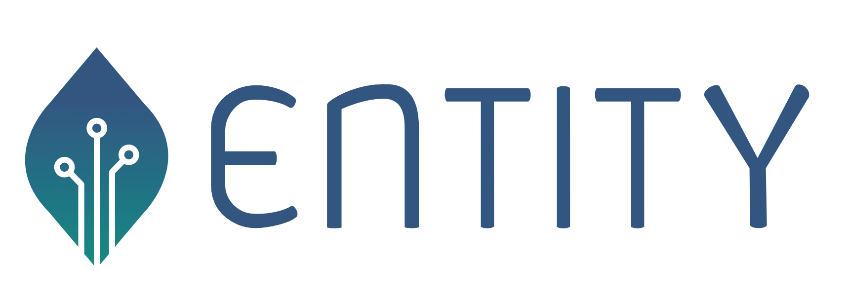 Entity