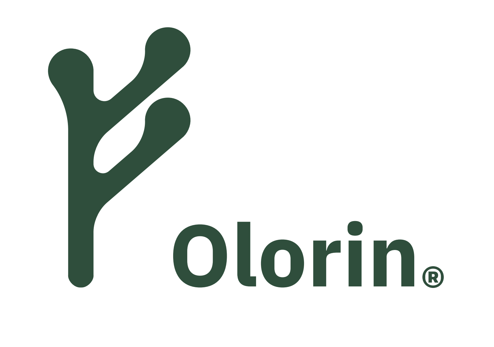 Olorin