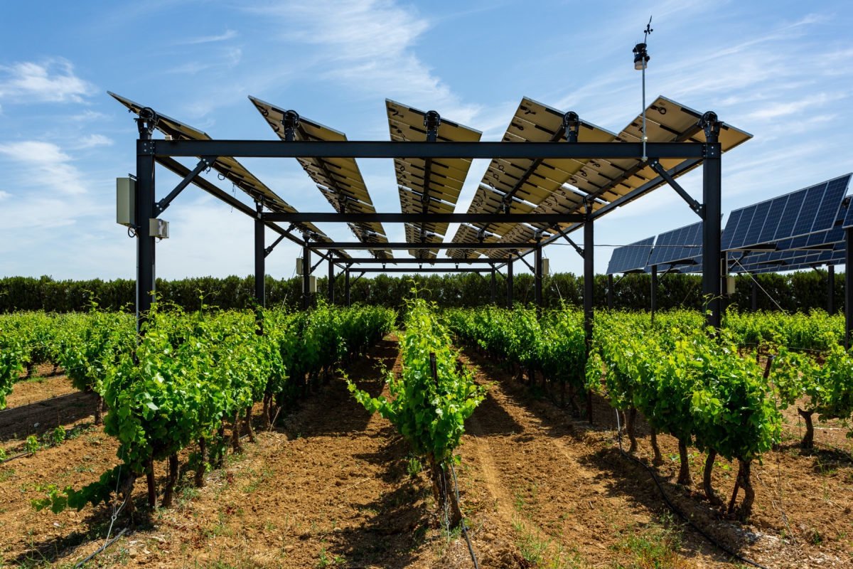 Agri-fotovoltaico SF (APV SF) – Produzione di energia e cibo