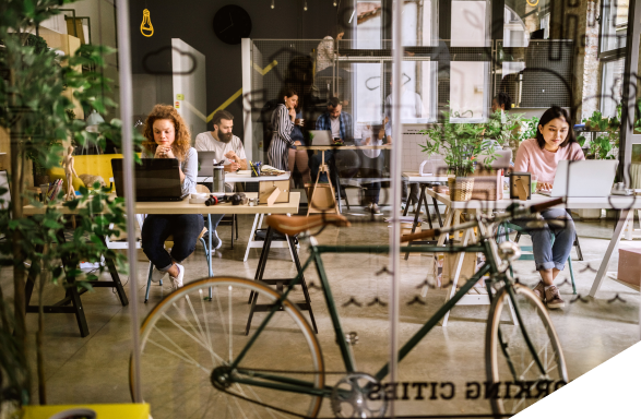 Corporate Venture Capital