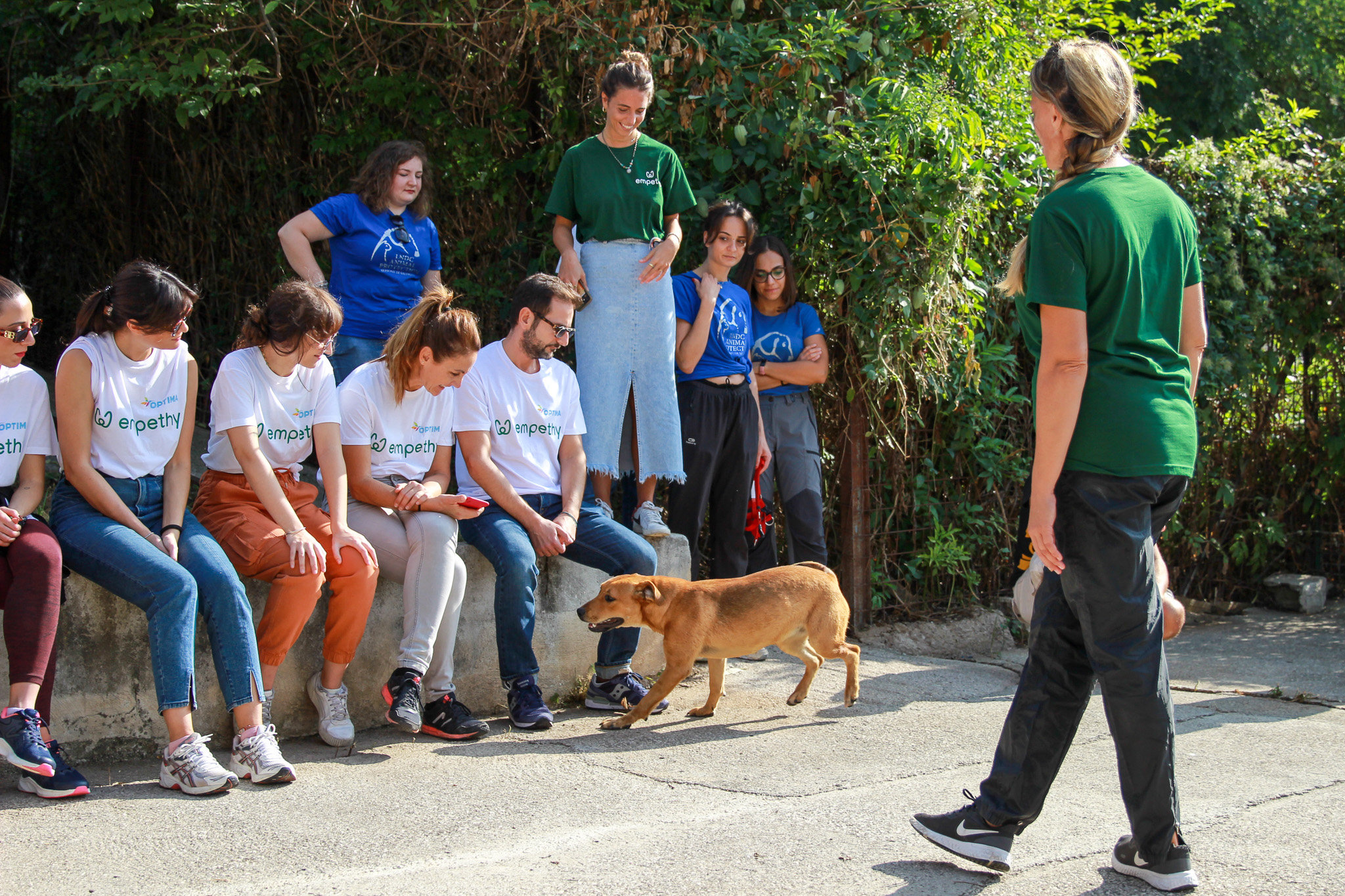 Empethy Corporate Pet Responsibility