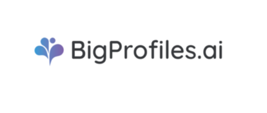 BigProfiles