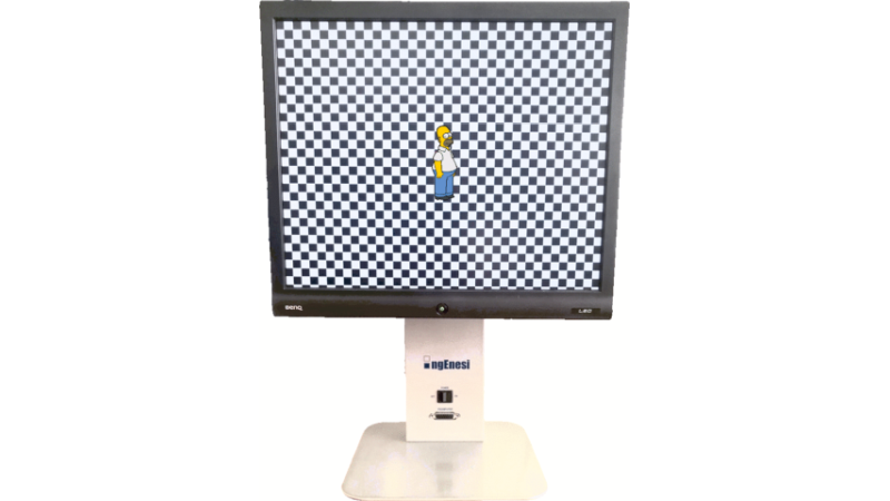 Il Sistema di fotostimolazione Ingenesi per il trattamento della ambliopia nei bambini e l’ ipovisione